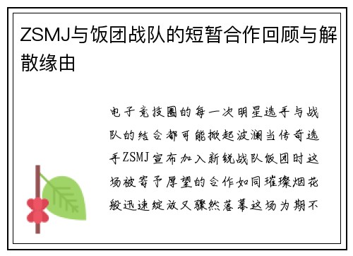 ZSMJ与饭团战队的短暂合作回顾与解散缘由